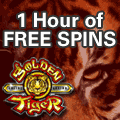 Internet casino - GTCasino