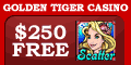 Free Slots - www.goldentigercasino.com