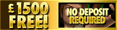 video poker