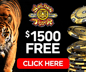 Golden Tiger