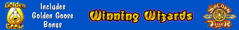 Winning Wizards Slot