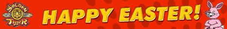 virtual online casino gamble gambling