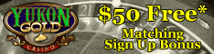 Online Casino -