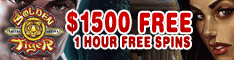 online slots with bonus